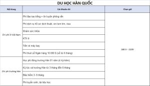 Chi Phí Khi Du Học Tại Hàn Quốc