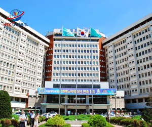 Khám phá vẻ đẹp và tiềm năng tại trường đại học quốc gia Seoul